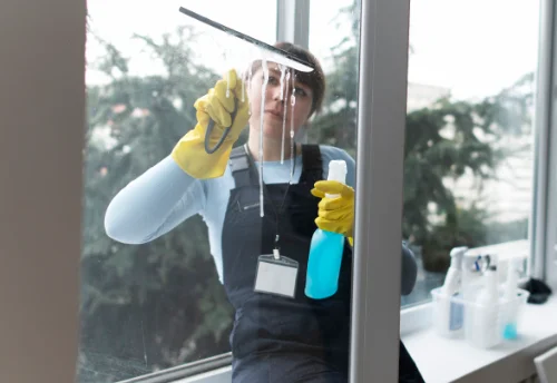 Nettoyage de vitres intérieures et extérieures à Vesseaux